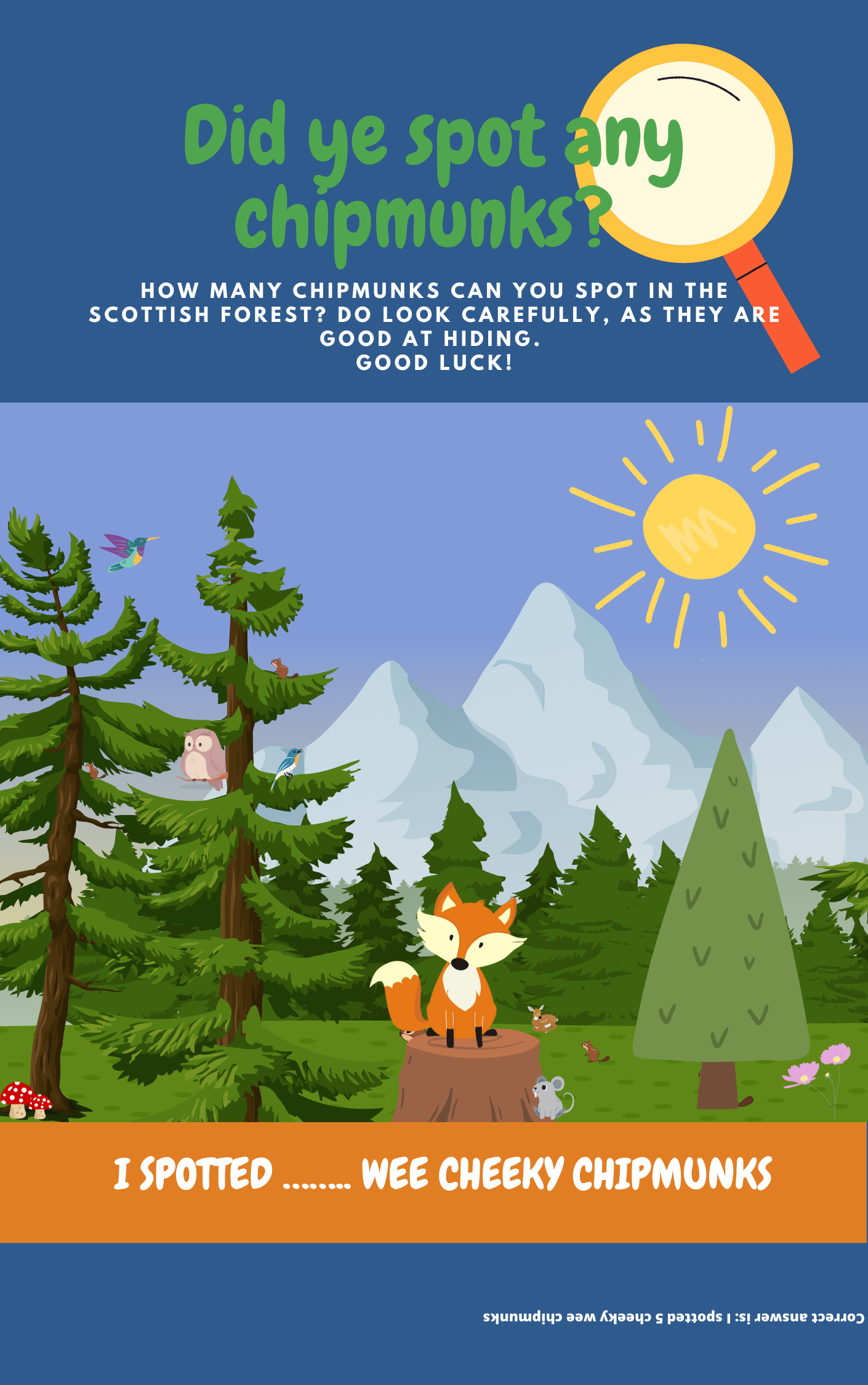 My fun Scottish activities- the Wee Scotland way!